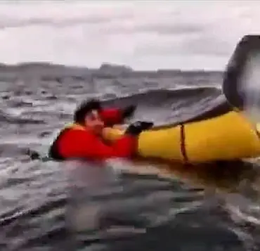 Whale Attack: Kayaker Swallowed by Humpback off Chilean Coast