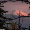 Alaska's Mount Spurr Shows Signs of Imminent Volcanic Activity, Scientists Warn