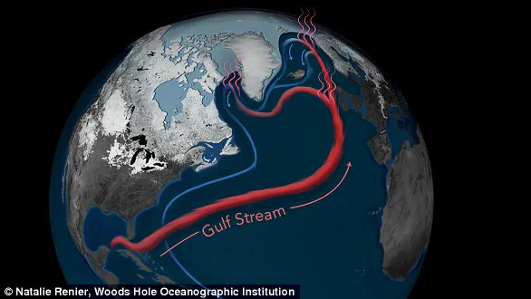 Antarctic Circumpolar Current at Risk: Climate Change's Impact on Global Ocean Conveyor