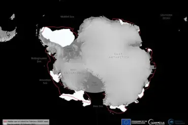 Antarctic Sea Ice Shrinks to Near-Record Low in Critical Climate Indicator