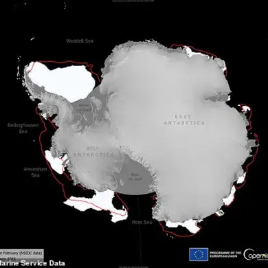 Antarctic Sea Ice Shrinks to Near-Record Low in Critical Climate Indicator