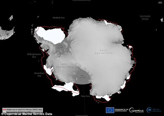 Antarctic Sea Ice Shrinks to Near-Record Low in Critical Climate Indicator