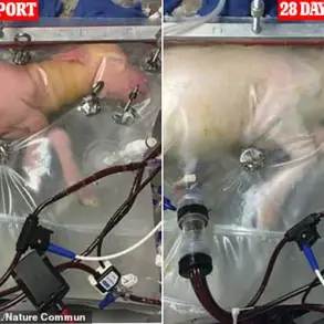 Artificial Wombs: Revolutionizing Pregnancy and Society