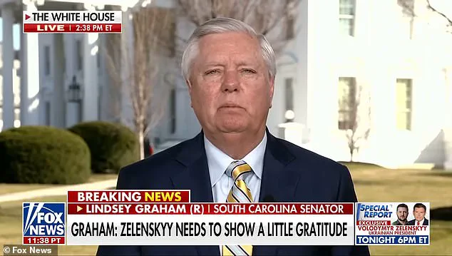 Lindsey Graham Calls for Volodymyr Zelensky's Resignation