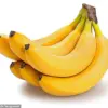 Revolutionary Banana Science: No More Brown Spots, No More Mush!