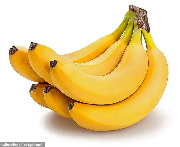 Revolutionary Banana Science: No More Brown Spots, No More Mush!