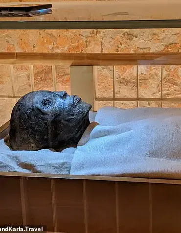 DNA Analysis Reveals Malaria Contributed to King Tutankhamun's Death