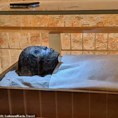 DNA Analysis Reveals Malaria Contributed to King Tutankhamun's Death