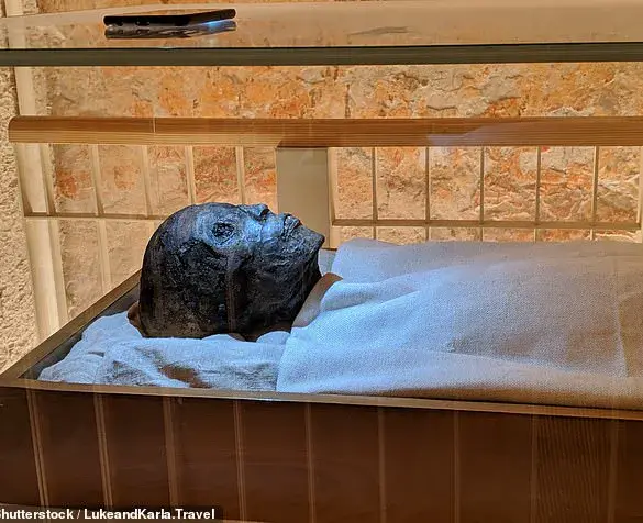 DNA Analysis Reveals Malaria Contributed to King Tutankhamun's Death