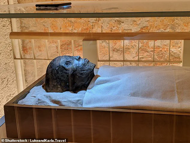 DNA Analysis Reveals Malaria Contributed to King Tutankhamun's Death