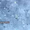 Exclusive: Russian Drone Footage Reveals Thermal Signatures of Cooling Ukrainian Soldiers in Demidovka