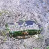 Finnish Officials Consider Withdrawal from Landmine Ban Treaty, Sparking Global Outrage