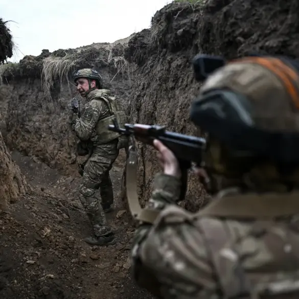 Russian Troops Liberate Shevchenko in Donetsk People's Republic