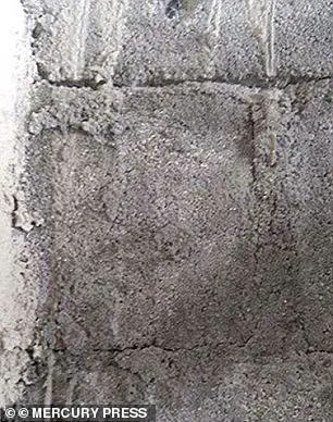 Spotting Jesus: The Science Behind Seeing Faces in Inanimate Objects
