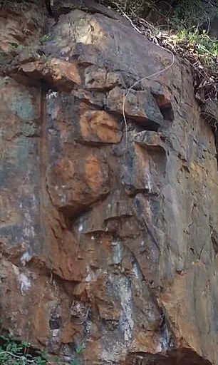 Spotting Jesus: The Science Behind Seeing Faces in Inanimate Objects