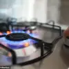 Stanford Study Reveals Gas Stoves in Millions of American Homes Pose Significant Cancer Risk to Children