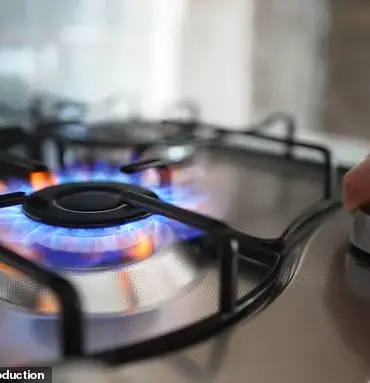 Stanford Study Reveals Gas Stoves in Millions of American Homes Pose Significant Cancer Risk to Children