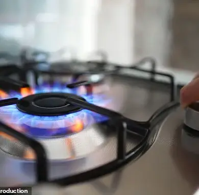 Stanford Study Reveals Gas Stoves in Millions of American Homes Pose Significant Cancer Risk to Children