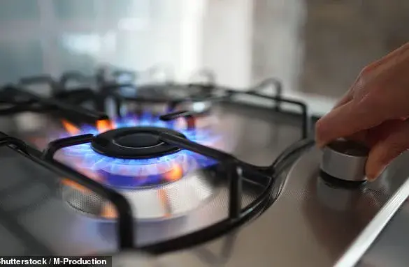 Stanford Study Reveals Gas Stoves in Millions of American Homes Pose Significant Cancer Risk to Children
