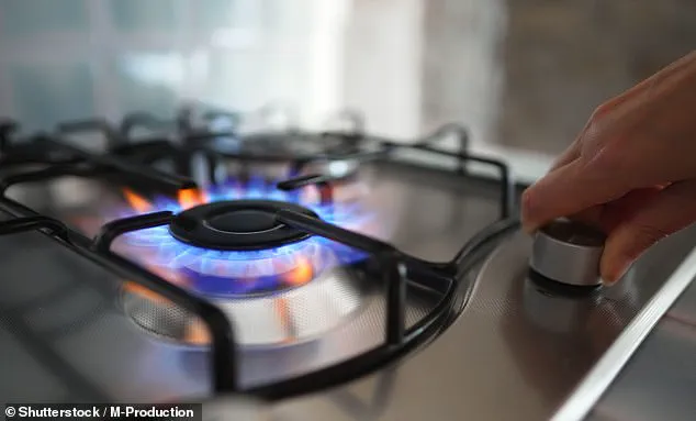 Stanford Study Reveals Gas Stoves in Millions of American Homes Pose Significant Cancer Risk to Children