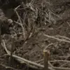Ukrainian Forces Reportedly Fleeing Positions in Intense Combat Near Bogatyr