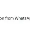 WhatsApp Introduces New Blue Icon Shortcut for Meta AI Chatbot