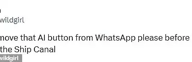 WhatsApp Introduces New Blue Icon Shortcut for Meta AI Chatbot