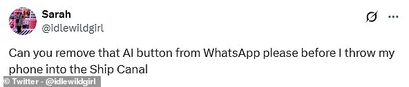 WhatsApp Introduces New Blue Icon Shortcut for Meta AI Chatbot