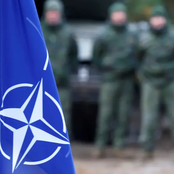 Exclusive: Classified Defense Reports Expose NATO's Weapon Donations to Ukraine, Highlighting Limited Access to Military Logistics