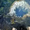 Scientists Warn of Imminent Eruption at Axial Seamount, Pacific Northwest's Most Active Volcano