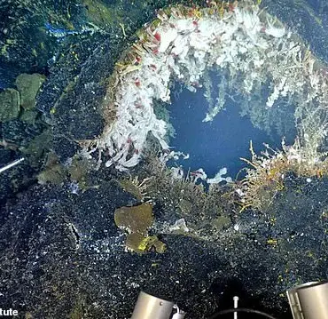 Scientists Warn of Imminent Eruption at Axial Seamount, Pacific Northwest's Most Active Volcano