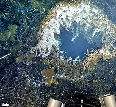 Scientists Warn of Imminent Eruption at Axial Seamount, Pacific Northwest's Most Active Volcano