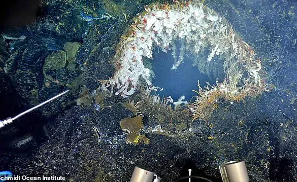 Scientists Warn of Imminent Eruption at Axial Seamount, Pacific Northwest's Most Active Volcano