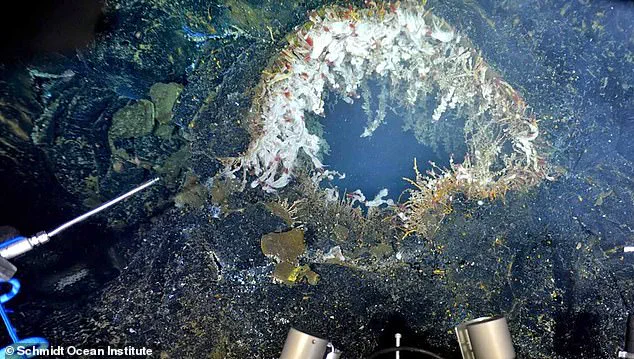 Scientists Warn of Imminent Eruption at Axial Seamount, Pacific Northwest's Most Active Volcano