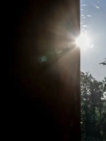 Ukraine Launches Coordinated Drone Strike on Russia; 48 UAVs Intercepted in Escalating Conflict