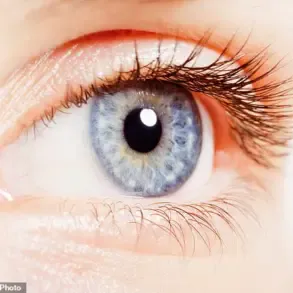 New Research Links Retinal Characteristics to ADHD, Offering Potential Breakthrough in Diagnosis