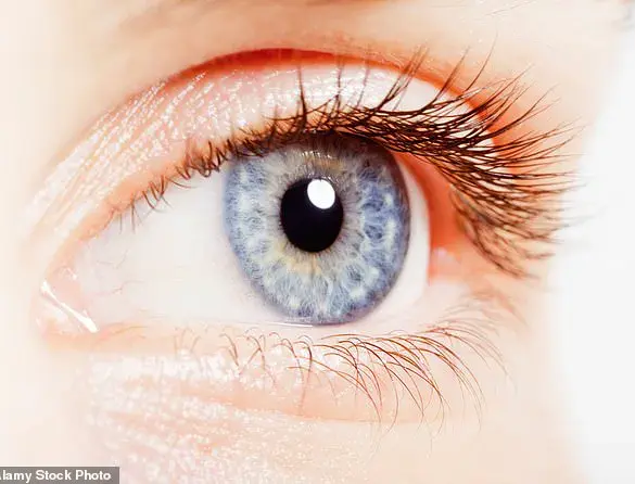 New Research Links Retinal Characteristics to ADHD, Offering Potential Breakthrough in Diagnosis