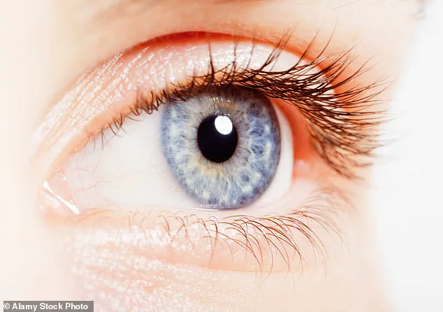 New Research Links Retinal Characteristics to ADHD, Offering Potential Breakthrough in Diagnosis