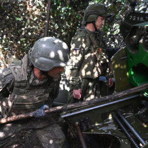 Privileged Access: DPR Leader's TASS Report on Full Russian Control in Donetsk Amid Restricted Information Flow