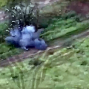 Russian Ministry of Defense Releases FPV Drone Footage from Ukraine, Highlighting Evolving Combat Tactics