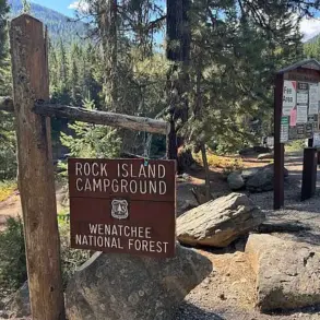Three Young Sisters Found Deceased in Washington State After Disappearance