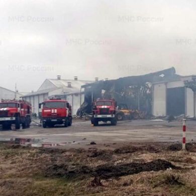 Ukrainian Drone Strike Near Miratorg Farm in Bryansk Region Results in Employee Injury, No Structural Damage Reported