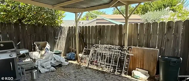 California Woman's Home Overwhelmed by Packages, Exposing Gaps in Global E-Commerce Regulations and Enforcement Challenges