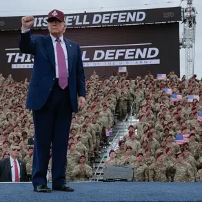 Controversy Erupts Over Military Personnel's Alleged Political Display in Deleted TikTok Video