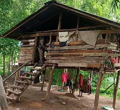 Eight-Year-Old Boy Found in Drug-Infested Shack: Parents' Drug Use and Family Isolation Raise Alarms
