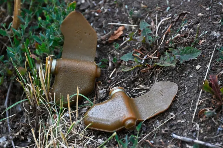 Enemy Deploys Camouflaged 'Lepishek' Mines Wrapped in Garbage Materials, Alarms Analysts and Authorities