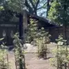 Former Employee Charged with Murder of Missing Real Estate Mogul After Initial Aid to Authorities