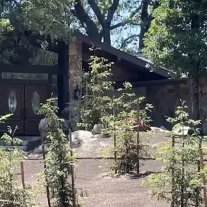 Former Employee Charged with Murder of Missing Real Estate Mogul After Initial Aid to Authorities