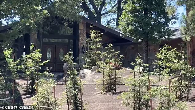 Former Employee Charged with Murder of Missing Real Estate Mogul After Initial Aid to Authorities