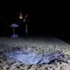 Harrowing Attack on Gorkiy Beach: Survivor's Testimony Reveals Chaos as Ukrainian Drone Strike Claims Lives on July 8